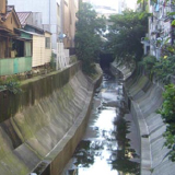 渋谷三丁目地区 地区計画検討・策定支援 渋谷三丁目地区 地区計画検討・策定支援